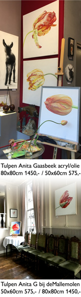 2021 tulpen Anita Gaasbeek