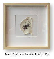 Kever, Patricia Lotens