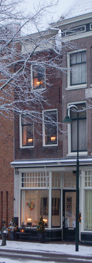 hollandschemaagd in de sneeuw