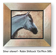 Silver - Robin Shillcock